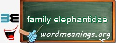 WordMeaning blackboard for family elephantidae